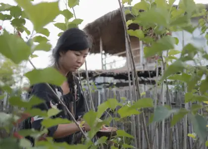 Yidan in the farm