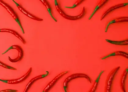 Chilli Fest Thailand