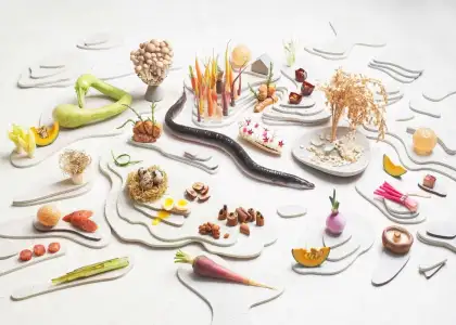 Shang Palace Path Singapore Four Hands Collab