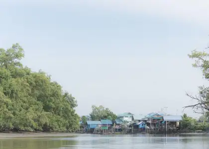 Thailand Marks International Day for Conservation of the Mangrove Ecosystem