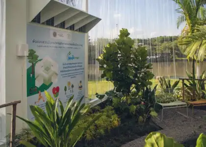 Bangkok Launches Giant Air Purifier to Mitigate Air Smog Crisis