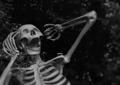 These Weird Museums in Thailand are Not for the Faint Hearted