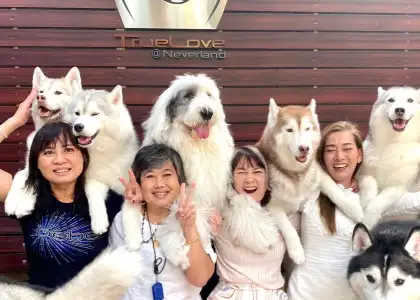 True Love at Neverland