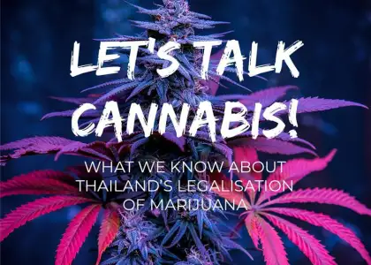 Lets Talk Cannabis What We Know About Thailands Legalisation of Marijuana