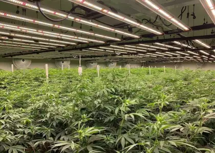 Snapinsta app 309659327 1126669478213191 5539647047633461255 n 1080