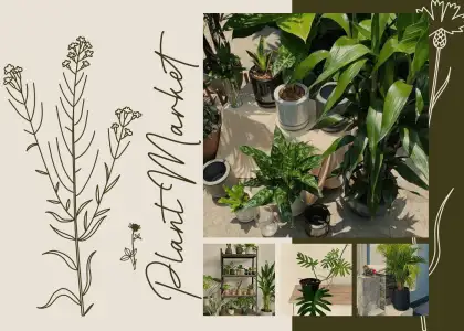 Cant Visit Plant Markets Have a Plant Delivered to Your Bangkok Home With These Stores