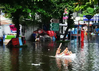 What Are Monkey Cheeks and Can They Solve Flooding in Bangkok