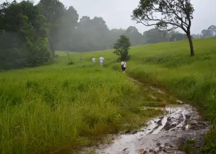 Green Bangkok 2030 Project