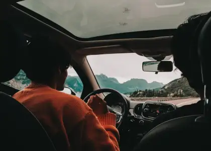 Driving Stock