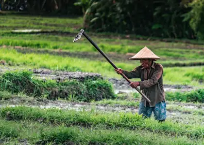 Agritech Startups That Empower Farmers in Thailand