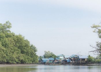 Thailand Marks International Day for Conservation of the Mangrove Ecosystem