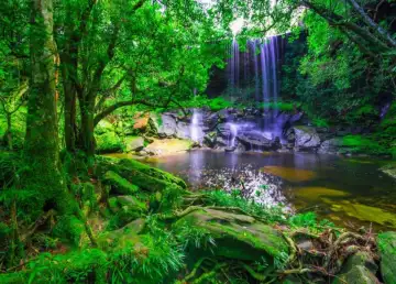 Nam Nao, Phu Kradueng National Parks Certified as New ASEAN Heritage Parks