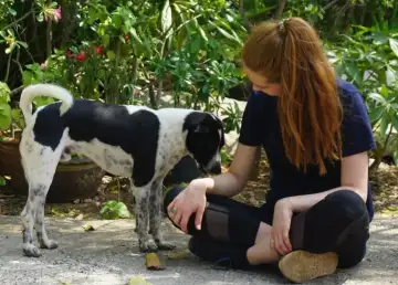 Adopt Don’t Shop: 6 Organizations in Thailand to Get a Rescue Pet From