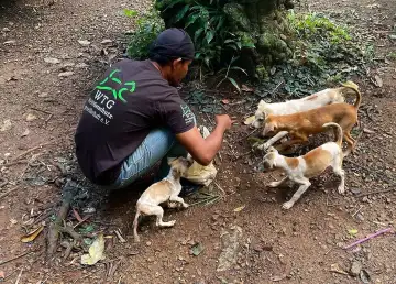 Five Conservation Sites and Sanctuaries in Bangkok for Volunteer Work