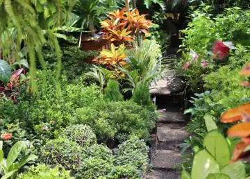 Bangkok Eyes on Creating More Green Spaces Through ‘Pocket Parks’