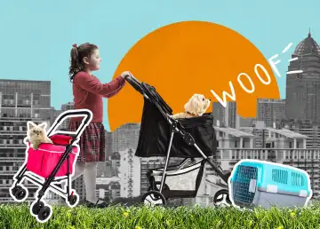Make Travelling Safer With These Pet Strollers and Bag Carriers in Bangkok