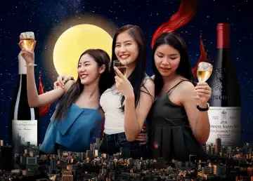 Sip and Dine: Best Wine Bars in Bangkok Right Now