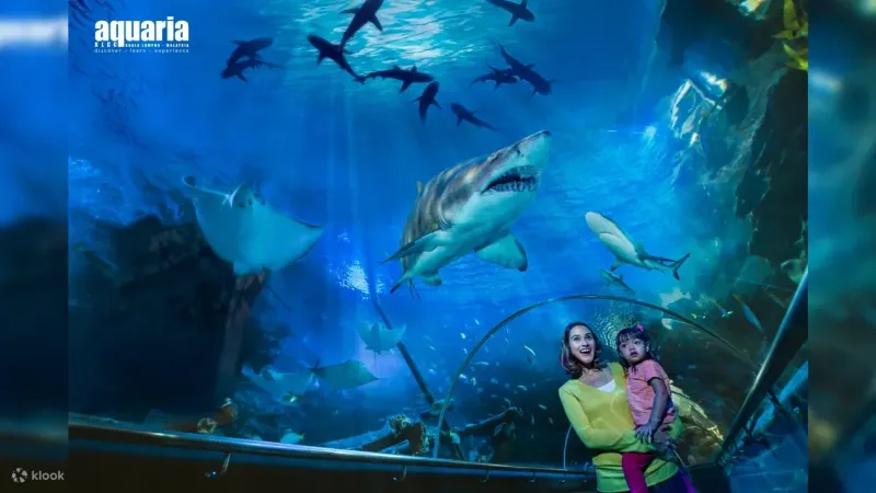 Aquaria KLCC Ticket in Kuala Lumpur