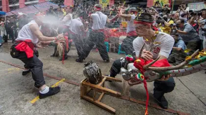 Feast of the Drunken Dragon