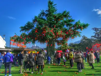 7 Hong Kong Well-wishing Festival 2025