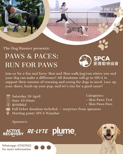 3 Paws & Paces: Run for Paws