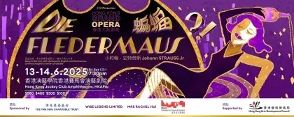 8 Die Fledermaus, an operetta by Johann Strauss Jr