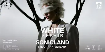 Sonic Land 1 Year Anniversary