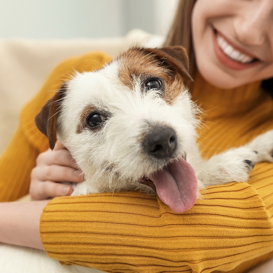 Novopets Staycation