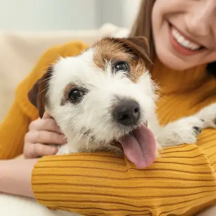 Novopets Staycation