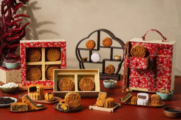 515257885 1160133026147647 6611637776288327783 n