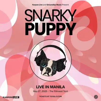 Snarky puppy