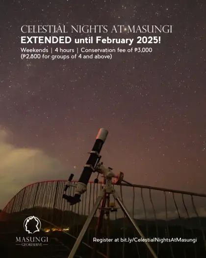 Celestial Nights at Masungi