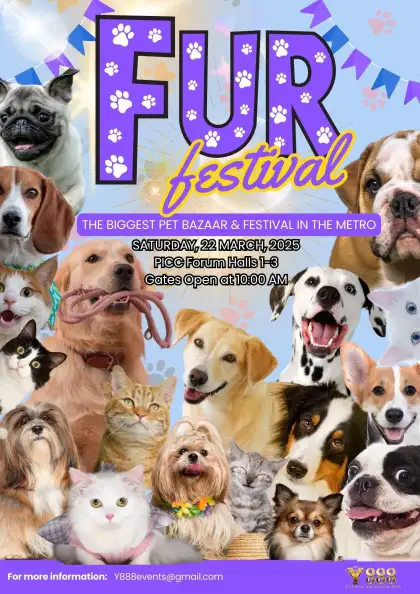FUR FESTIVAL 2025