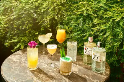 Raffles Courtyard x Roku Gin