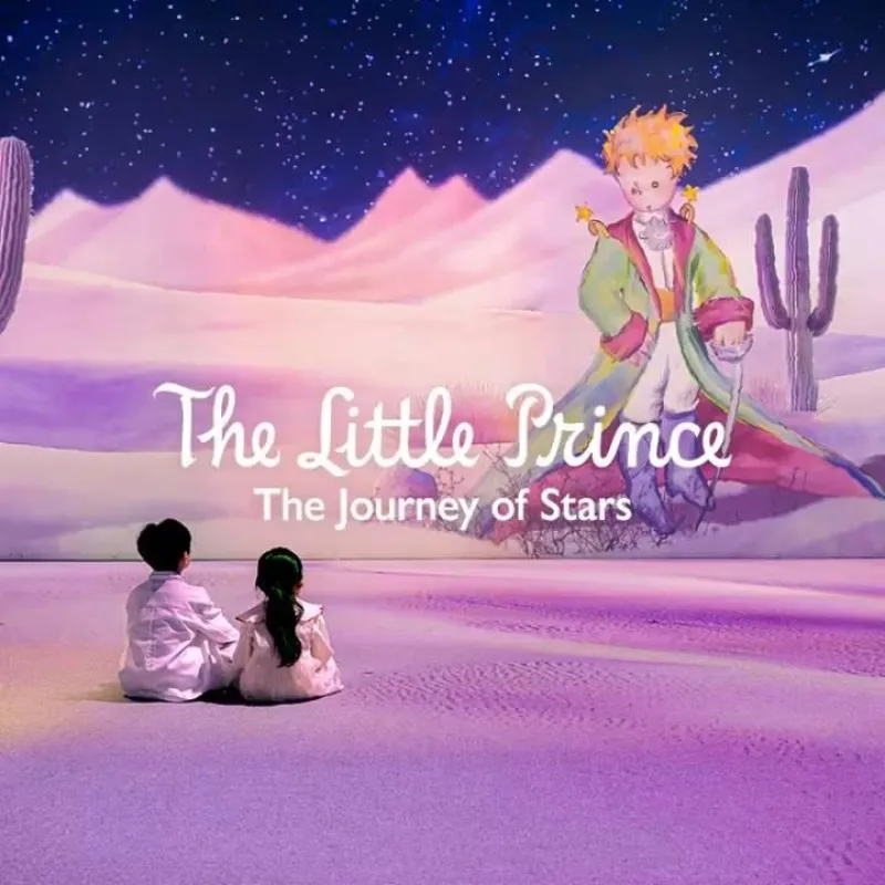 The Little Prince The Journey of Stars