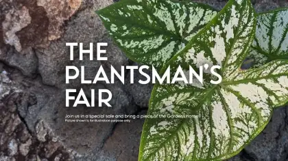 9 The Plantsman's Fair