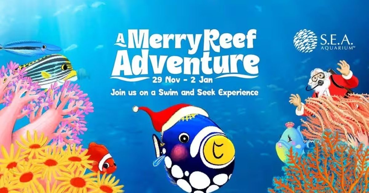 A Merry Reef Adventure at S.E.A.… | The Beat Singapore