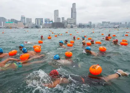 New World Harbour Race 2023