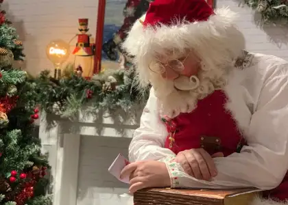 Santas Secret Kingdom header