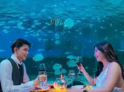 MANILA OCEAN PARK CHRISTMAS EVE DINNER UNDER THE SEA 2023