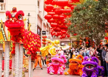 Lion Dance Performance Experience Workshop Lee Tung Avenue 2024