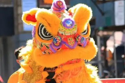 Tong su zko DBON Ycx4 unsplash