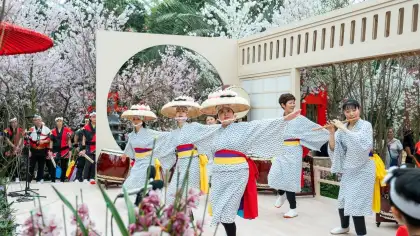 Japanese Cultural Programmes