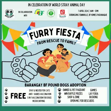 Furry Fiesta From Rescue to Family