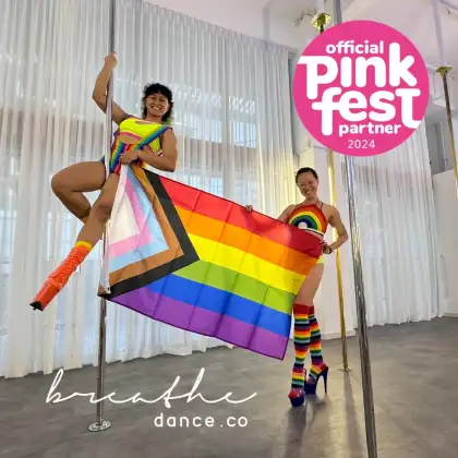 9. Pink Fest Beginners' Pole Workshop