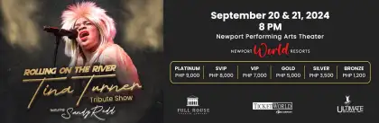 Tina Turner Tribute Show