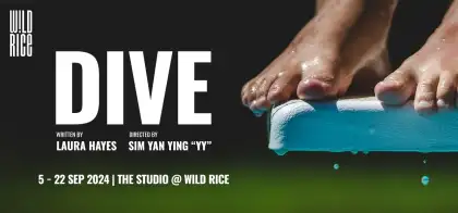 3. 'Dive' by Laura Hayes