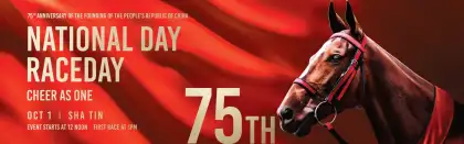 4. National Day Raceday 2024