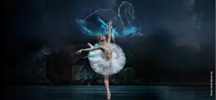 8. Dance Appreciation Series: Introduction to Swan Lake