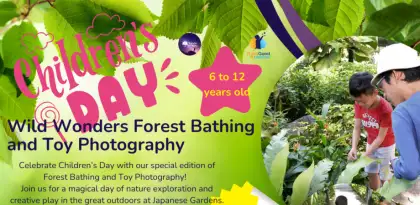 6. Wild Wonders Forest Bathing and Toy Photography